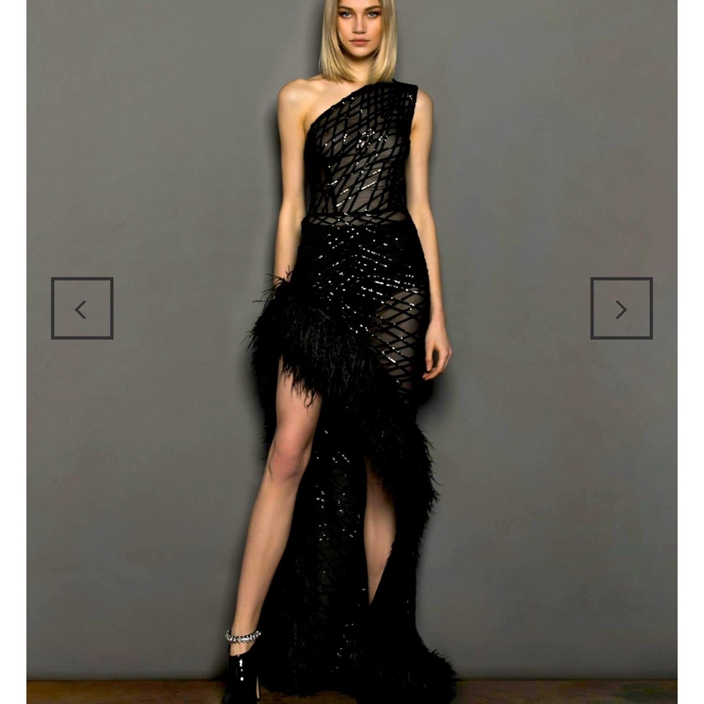 STUNNING BRONX AND BANCO LOLA SHEER FEATHER GOWN NWT BLACK LARGE (unlined)